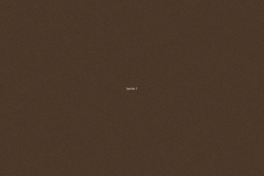 六合彩半波投注基礎概念圖解